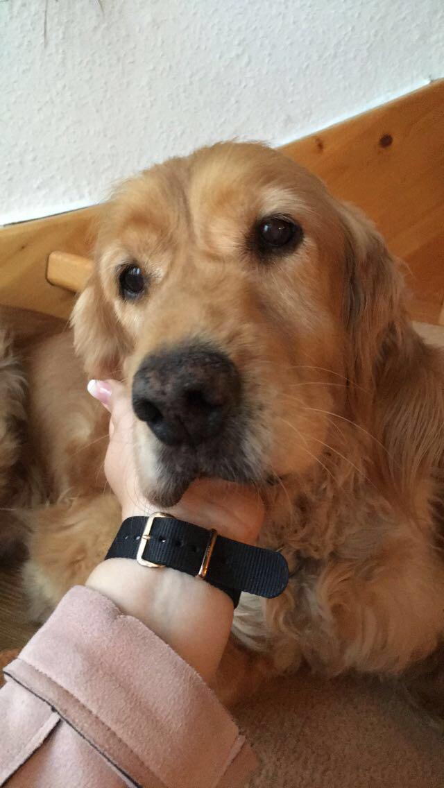 1a7ee758-0021-4ce0-a6a1-a46da343e171