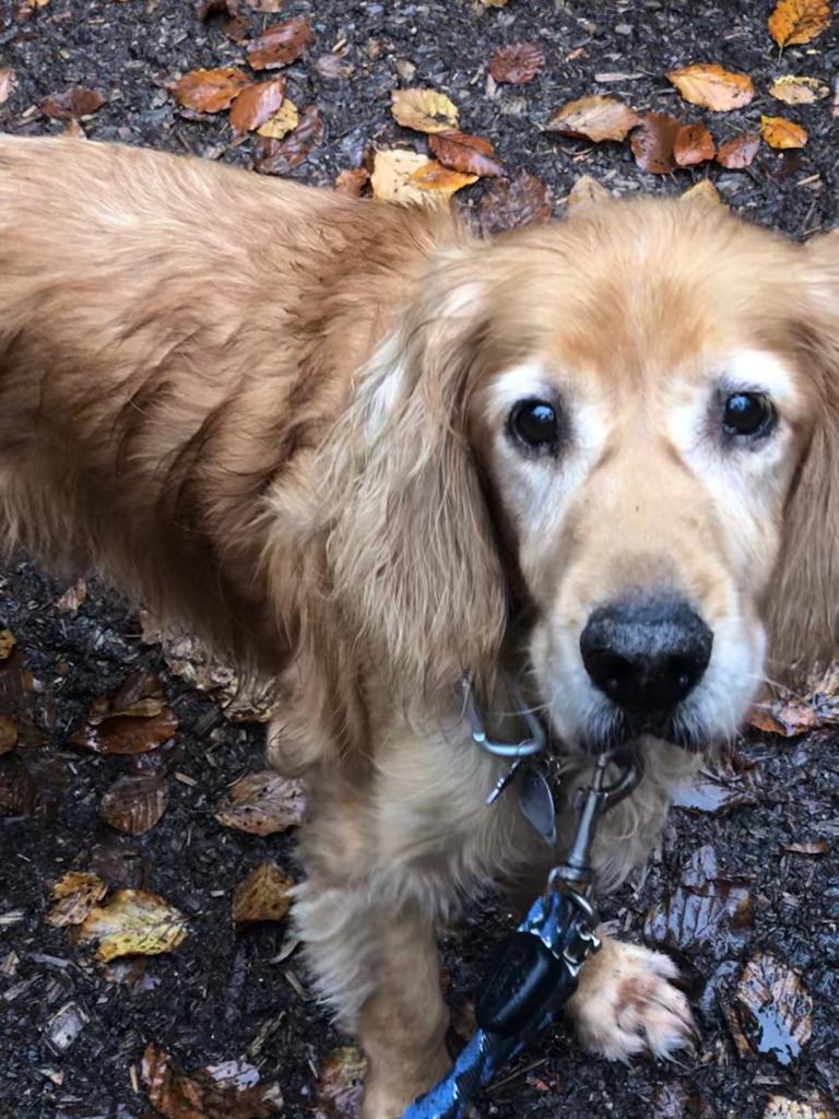 1e7b5800-5706-49ea-98da-27372f86c77b