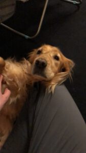 46676FAB-C409-49EF-B691-F2B8F3136BEC