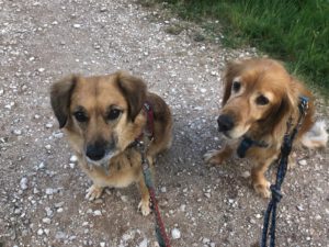 4bf9eedb-e32c-4598-a4e0-c3381810d94e