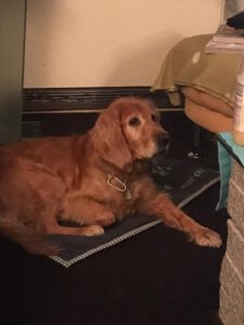 4d0543ec-54a9-4a7b-8725-955fb83df541