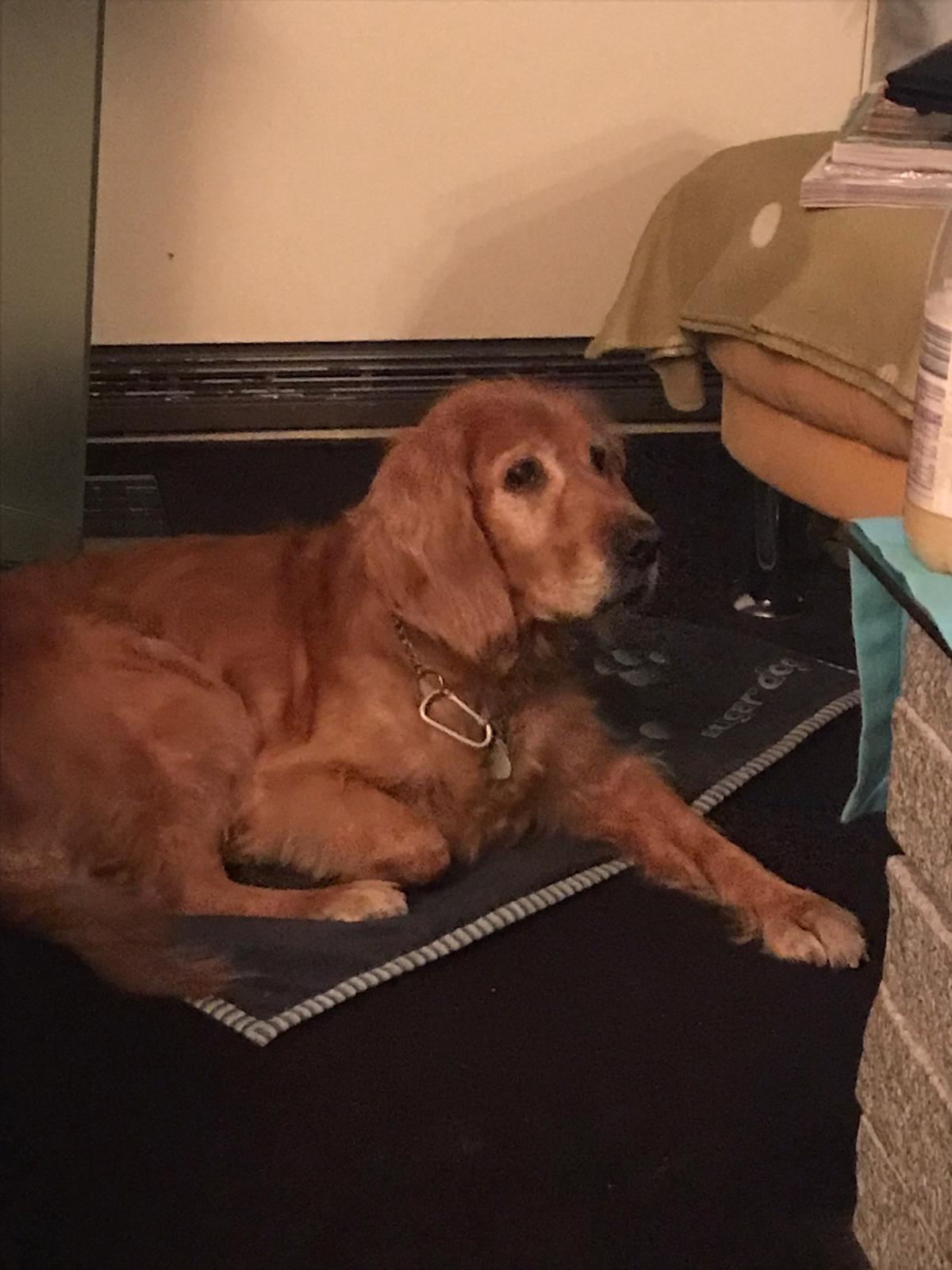 4d0543ec-54a9-4a7b-8725-955fb83df541