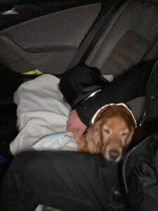 5f4cd150-0d77-4123-a9bc-ce2c855abb6e