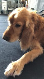 6B8E1C87-EC1F-4B10-8822-A6F14E6702BF