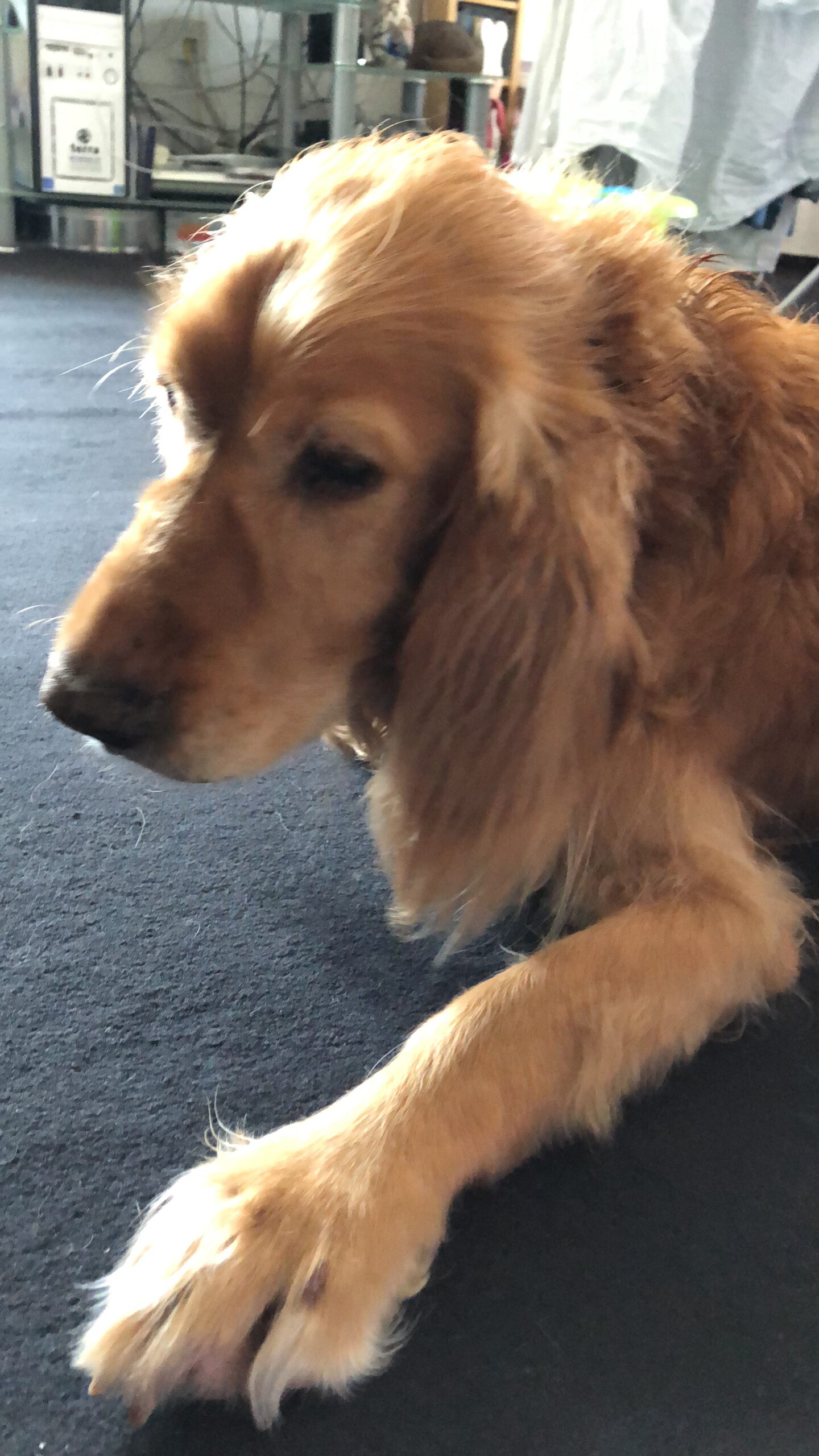 6B8E1C87-EC1F-4B10-8822-A6F14E6702BF