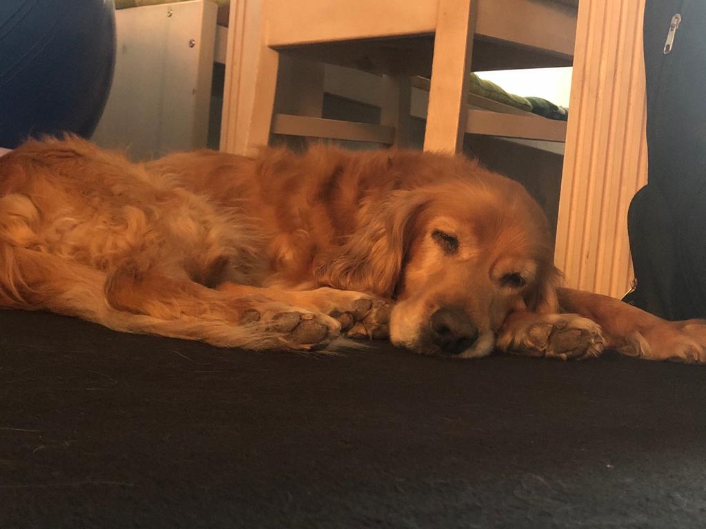 6a2649d2-8048-4700-ad8d-cdf97c37ac99