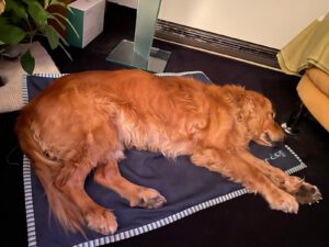 71ac1ceb-4e18-49da-8667-56b48567a28b