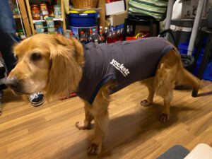 7b875b4e-a117-4808-a36c-d288d8d649df