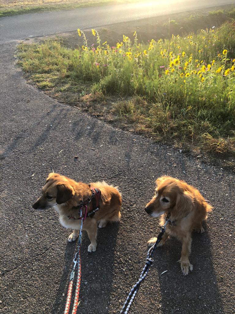 996637a5-7635-4c80-b196-ff80f4afc1e9