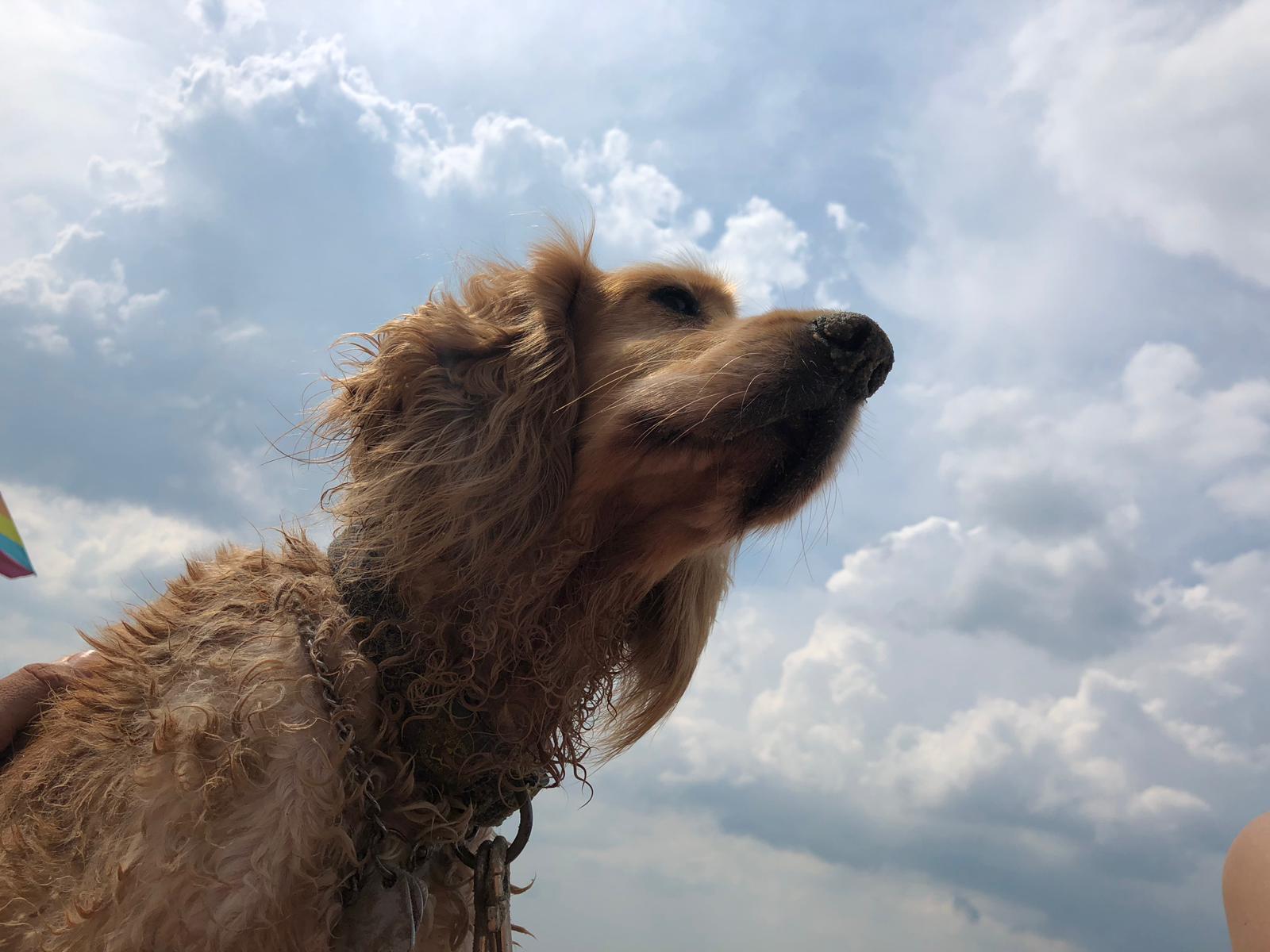 9ee73c91-2736-4f04-8ed3-c66d9000c5cc