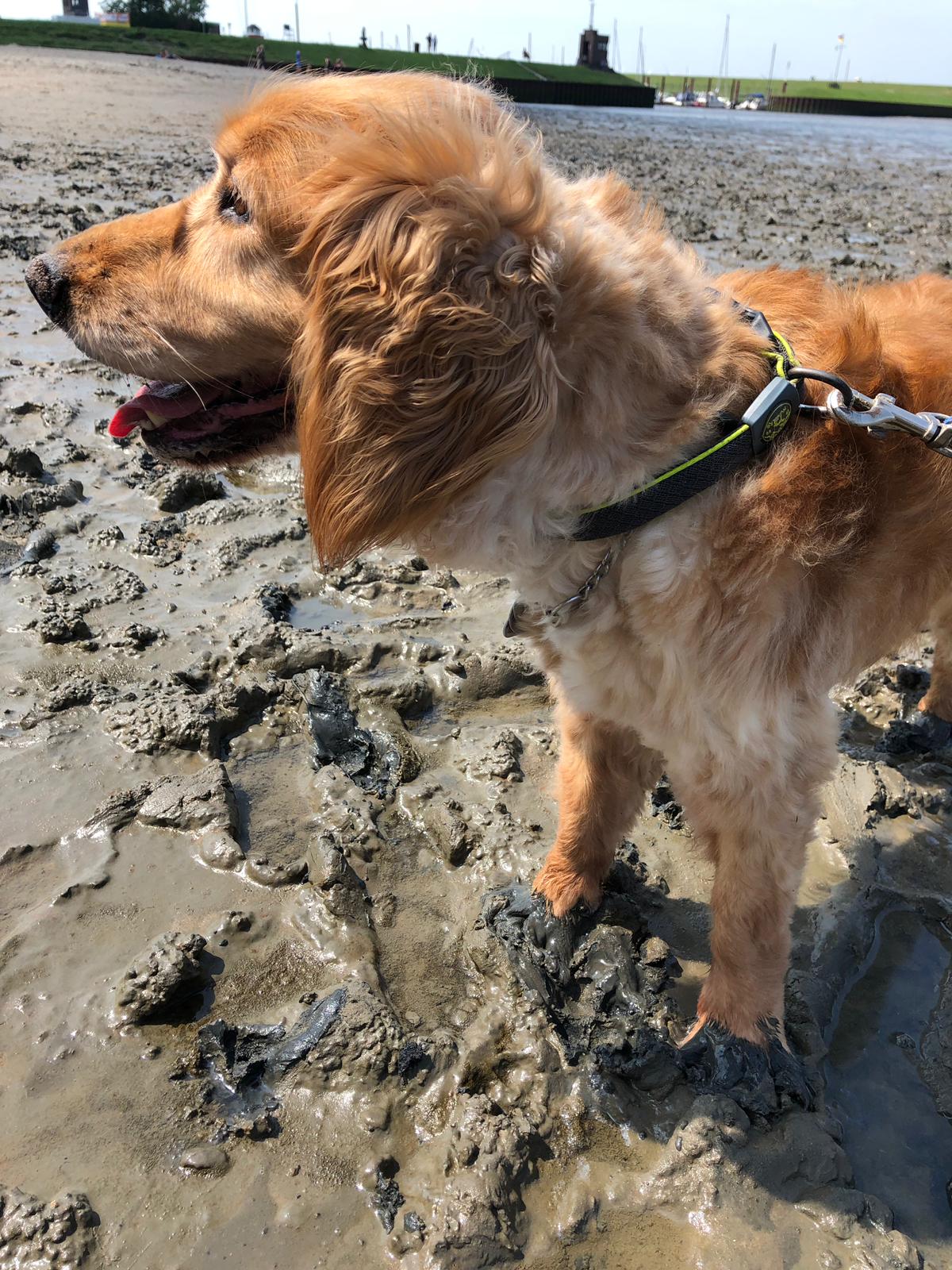 ae0f9e5e-abad-4570-a776-0467cb900911