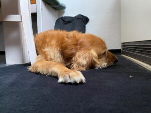 b23b6709-6ee8-4d11-952e-5186565bd0d9