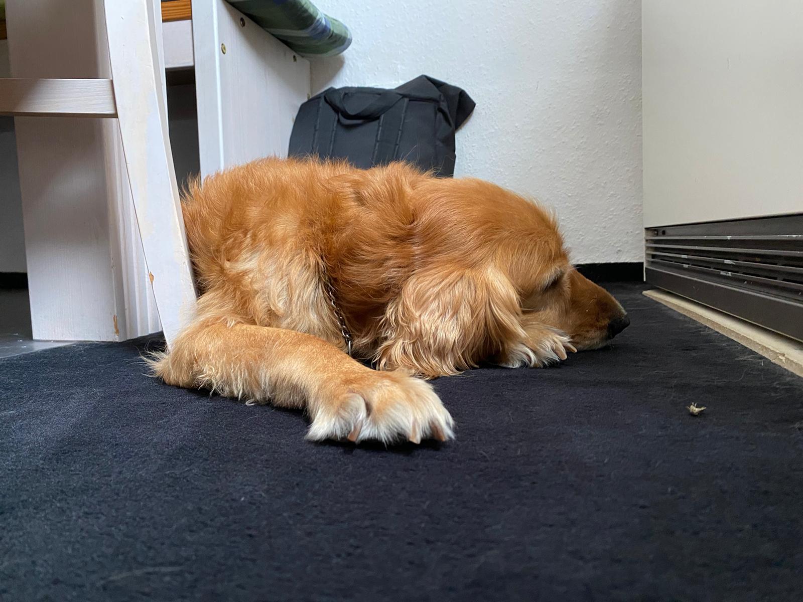 b23b6709-6ee8-4d11-952e-5186565bd0d9