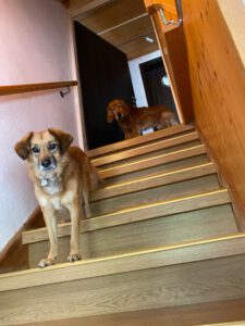 b5ffdfa6-81a4-4b7d-a32a-aafe24394f4b