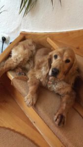 b706f485-628c-46c6-bada-aa38cd1e262a