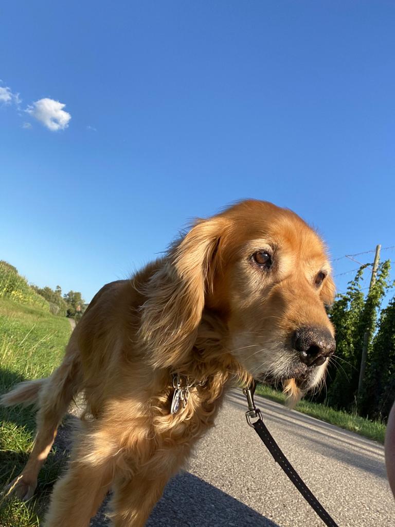 bf0ea20c-f600-48f8-86cb-cca5b69e3732