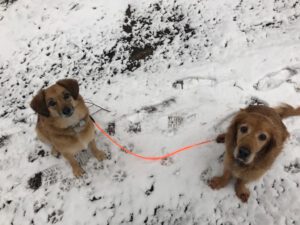 d5318016-126d-414d-b557-ed0f64cadb78