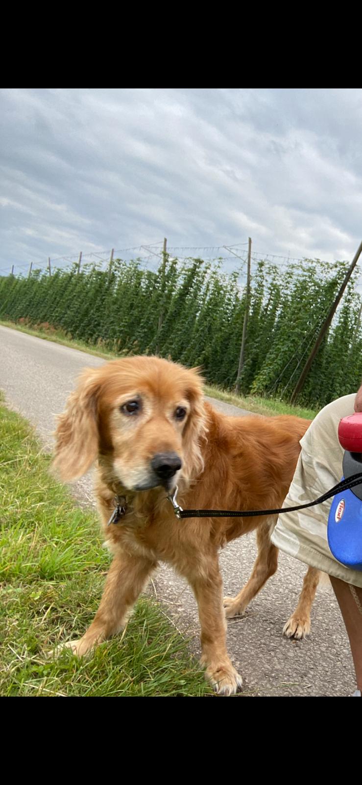 e0e38415-4836-43e8-81a2-a3c028dfe9bc