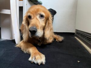 e5563f53-78d4-4e1d-ad89-7383192a5eba