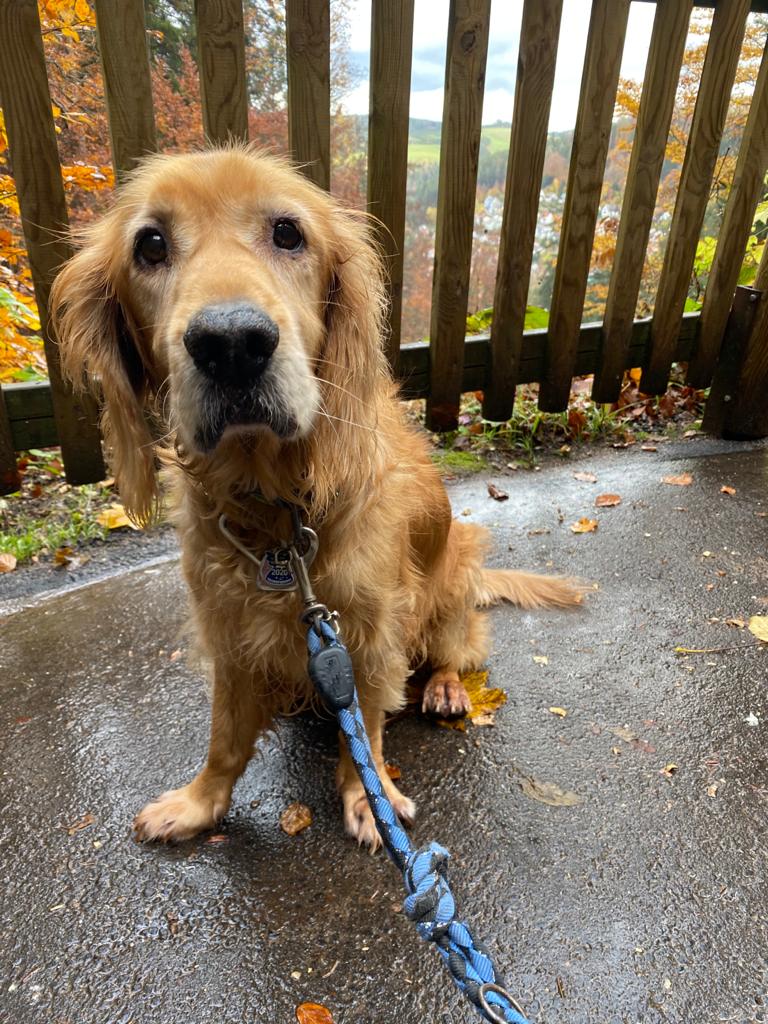 e63ed932-3961-4133-b250-fd4322d21f64