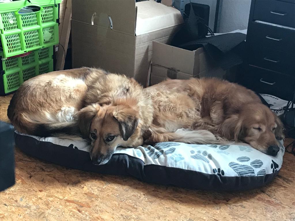 f0af1f04-67b0-435a-b99f-978be5817526